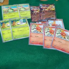 ドレディアにほんばれ＋バシャーモexたぎるとうし進化ラインセット