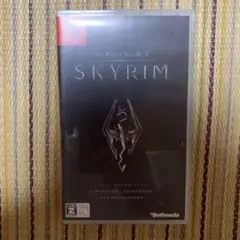 ＳＫＹＲＩＭ　スカイリム switch スイッチ版