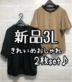 新品☆3L♪黒・ブラウン系きれいめ半袖ブラウス2枚♪お出かけ・お仕事☆G819
