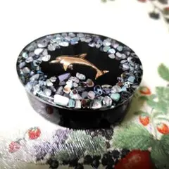 ニュージーランド パウアシェル小物入れ　パウア貝 香合 金イルカデザイン