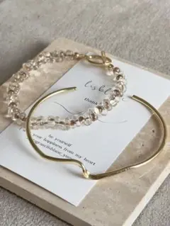 c806 大人気　再販　farfalle &bangle 2set