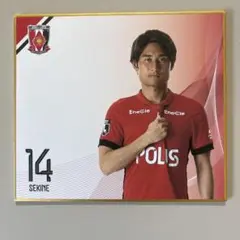関根貴大 浦和レッズ プレーヤーズミニ色紙 ブラインドパッケージ