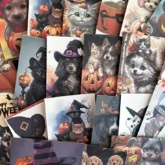 ⑥ミニカード25枚とダイカット　ハロウィン☆