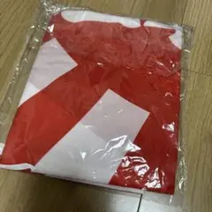 朝文字入り旗