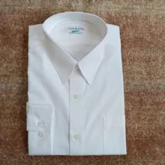 Item thumbnail for item 11056dbb-0e8d-4f50-97a0-db0637c690f2