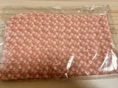 Item thumbnail for item 13d184fb-c1b3-4fa1-907b-c487fdb56872