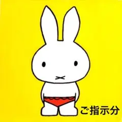 ★SALE★コッカ マディワークス 9.5号帆布 おおきな あんぱんプリント1m