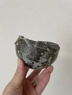 たけろうポット ちぎり シロサビ コクコク テツ クロマダラ kikko