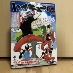 ハイキュー!! 15 アニメDVD付き予約限定版