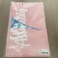 【新品未使用】GReeeeN gre4nboyz タオル　ライブ　ピンク　メイン