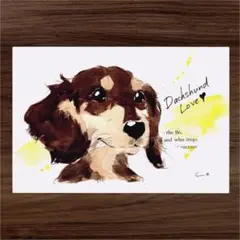 イラスト 原画 ポストカード 絵 【ダックス】64