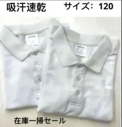 Item thumbnail for item ed280c22-fceb-4b43-88ba-488e7b2b125e