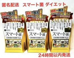 新品未開封 スマート菌 イノムス 酵素✖️菌活 120粒 ×3箱 匿名配送
