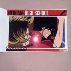 ハイキュー ゴミ捨て場の決戦 クリアビジュアルポスター2 孤爪研磨 黒尾鉄朗