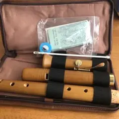 Item thumbnail for item 7fc886e5-3b56-474b-992c-b8eb366485fa