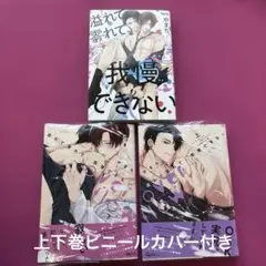 溢れて零れて、我慢できない　3巻セット