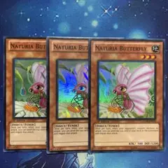 ナチュルバタフライ スーパー 英語