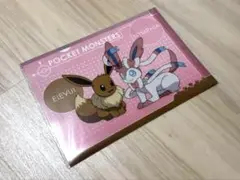 ピカチュウとイーブイフレンズ クリアファイルセット