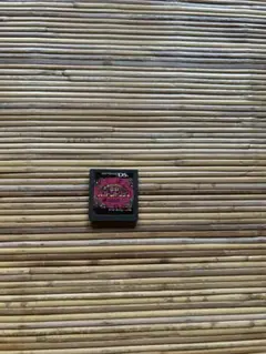 DSソフト　いろづきチンクルの恋のバルーントリップ　美品　動作確認済　任天堂