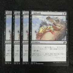 MTG　予想外の牙　日本語4枚セット