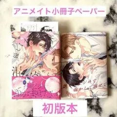 優しくイジめて溶かして混ぜて　高比良りと　アニメイト小冊子ペーパー付
