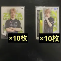 IJLカード DoLisu どりす