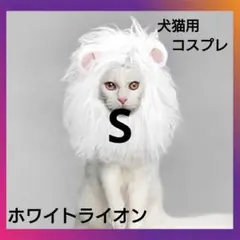 Item thumbnail for item ad1b6a76-c03f-466e-8bdd-30fc156f63c3