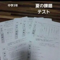 中学夏の課題テスト　中学学力テスト　中学テスト　中学フクト　中学過去問　中学3年