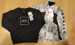 Item thumbnail for item fd97fb7f-528c-47b6-8a98-3e7b2ec4b9d4