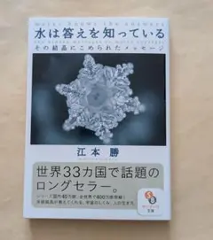 水は答えを知っている その結晶にこめられたメッセージ　サンマーク文庫　江本勝