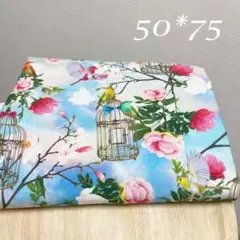 ラス1★鳥かごと薔薇インクジェット生地★空インコ綿コットンはぎれ布75×50cm