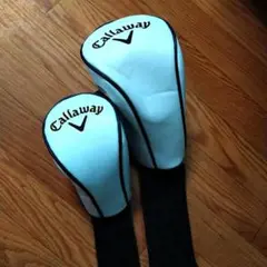 Item thumbnail for item 99d10981-e57e-416b-beba-8bf316ae2cf3