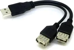 端子：USB A(オス) - USB A(メス)×2　ケーブル長 約20cm