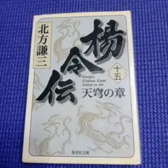 楊令伝 15 天穹の章