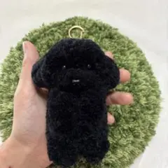 ＊うるうるトイプードル　毛糸キーホルダー＊ブラック　黒　ぬいぐるみマスコット　犬