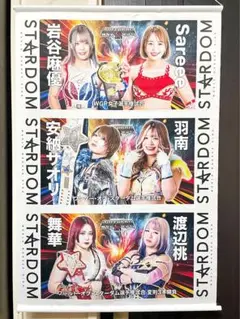 STADOM スターダム タペストリー WWR 2024 横浜BUNTAI