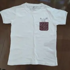 コーエン　キッズ140cm クマのイラスト付きホワイトTシャツ