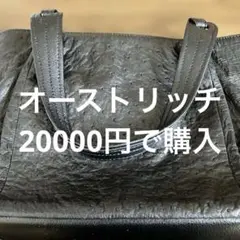 オーストリッチ　バック