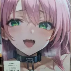 おりきゃら　モカ　抱き枕カバー　シークレット