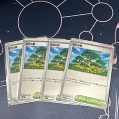 ポケモンカード　活力の森　4枚