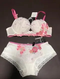 サルート ワコール Salute D75 ブラジャー M ショーツ