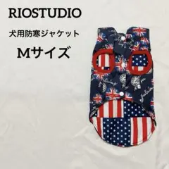 Item thumbnail for item 09ebe24b-dd0d-4051-a23f-e5d42f159783