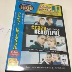 クレイジー/ビューティフル('01米)
