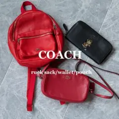 【COACH】3点セット リュック ショルダーバッグ 財布 BASEMAN