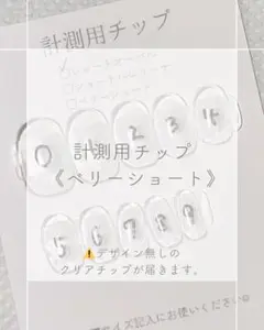 計測用チップ ベリーショート