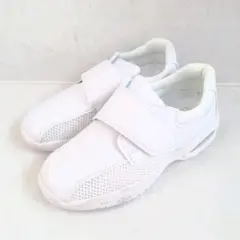 Item thumbnail for item 3b05dbde-24d0-4828-a9d4-d86f4eb84b2f