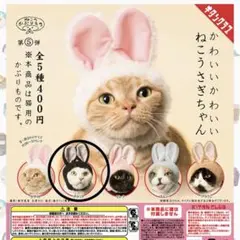 Item thumbnail for item 190fa43d-f953-405c-9c78-2cdeb30e6b6d