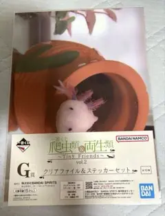 一番くじ 爬虫類＆両生類　2 G賞　クリアファイル&ステッカーセット