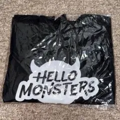 HELLOMONSTERSTOUR BABYMONSTER CROP TEE_L