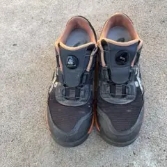 Item thumbnail for item 5be7dfd8-e180-4477-8986-39fffb737cb9